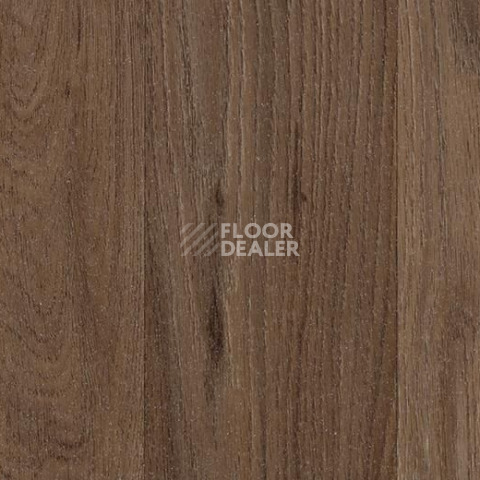 Линолеум Forbo SureStep Wood 18792 dark oak фото 1 | FLOORDEALER